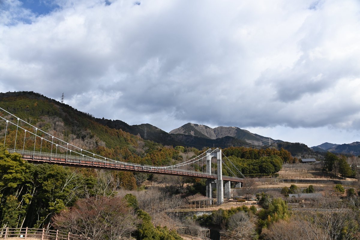 HadanoVC's tweet image. 8時40分の気温1.8度　晴れ
秦野戸川公園周辺は、気温が低く冷たい風が吹いています。雲が少し広がる時間もありますが、#二ノ塔、#三ノ塔 や #大山 の山並みは見えています。
園内では #メジロ や #イソヒヨドリ の姿を観察できました。
