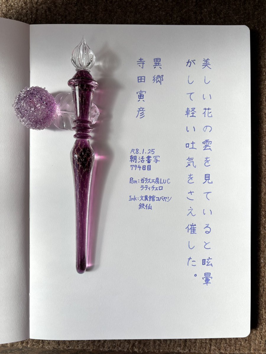 お題ありがとうございます。
この冬初めて雪が降るのを見ました。大した雪ではないけど、普段ほぼ降らない地域なのでびっくり😳
#朝活書写 
#朝活書写_2298 
#ガラスペン 
ペン：ガラス工房LUC ラティチェロ
インク：文具館コバヤシ 鉄仙