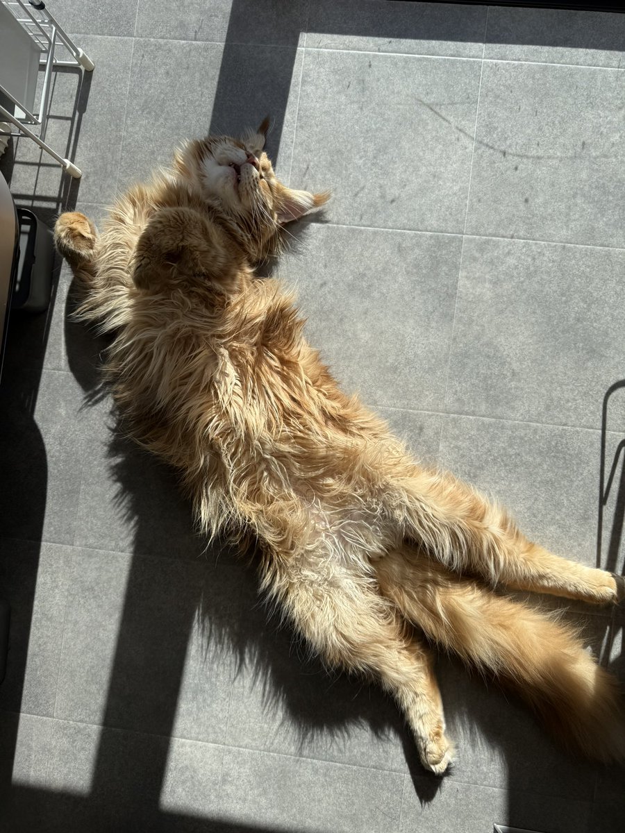 iddeee's tweet image. ビタミンD補給中