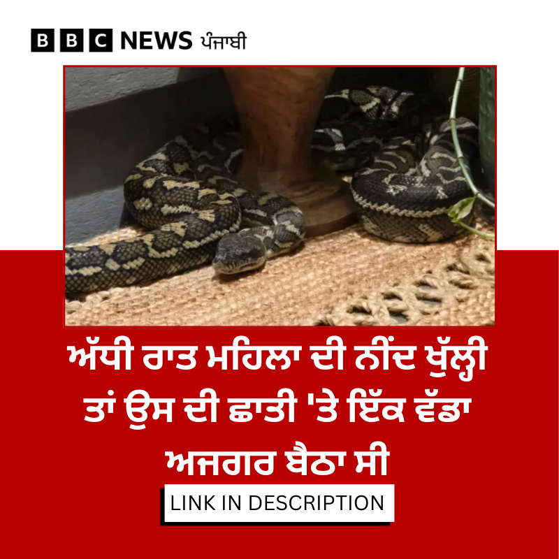 BBC News Punjabi tweet media