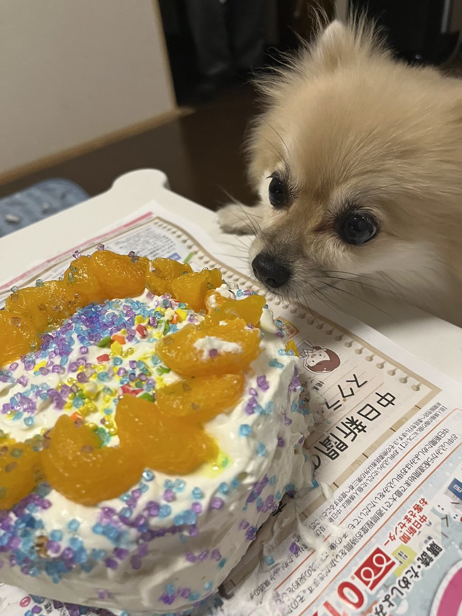 ケーキデコレーションした