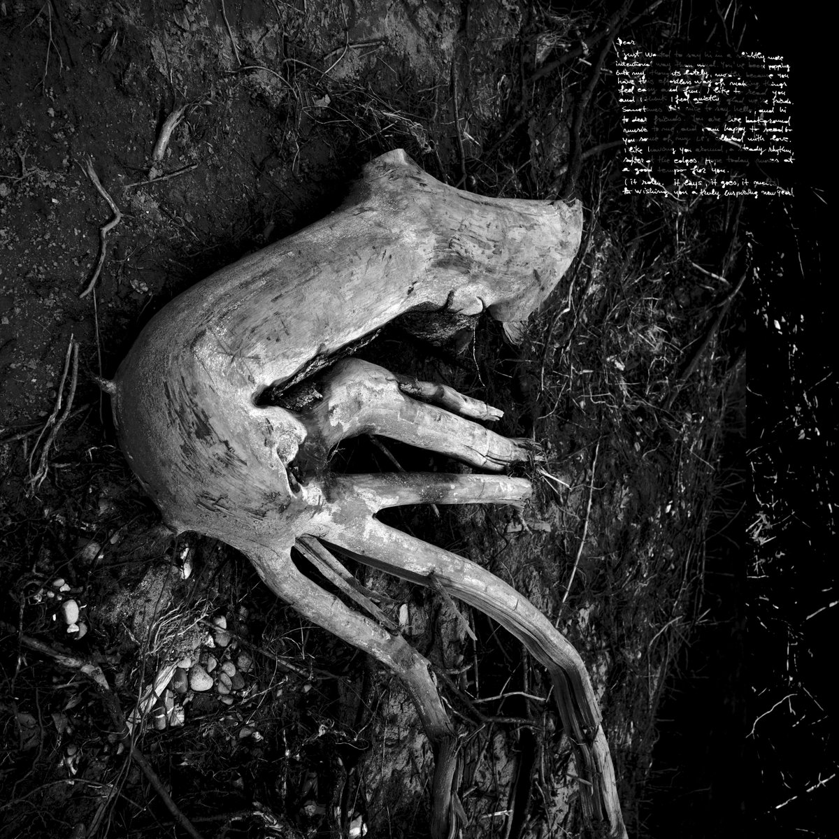 label_ia's tweet photo. Ruxandra Mitache - Black &amp; White (2026, Invisible Animals)
https://t.co/hDC7WZjYv1 https://t.co/iernq38vO5