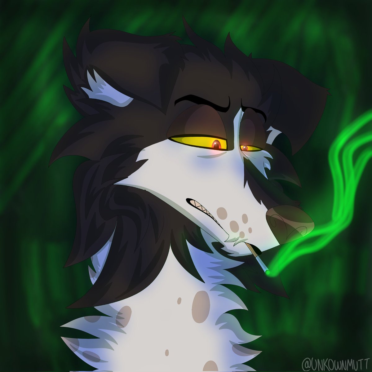 Zuni ★ !! 🎧 tweet media