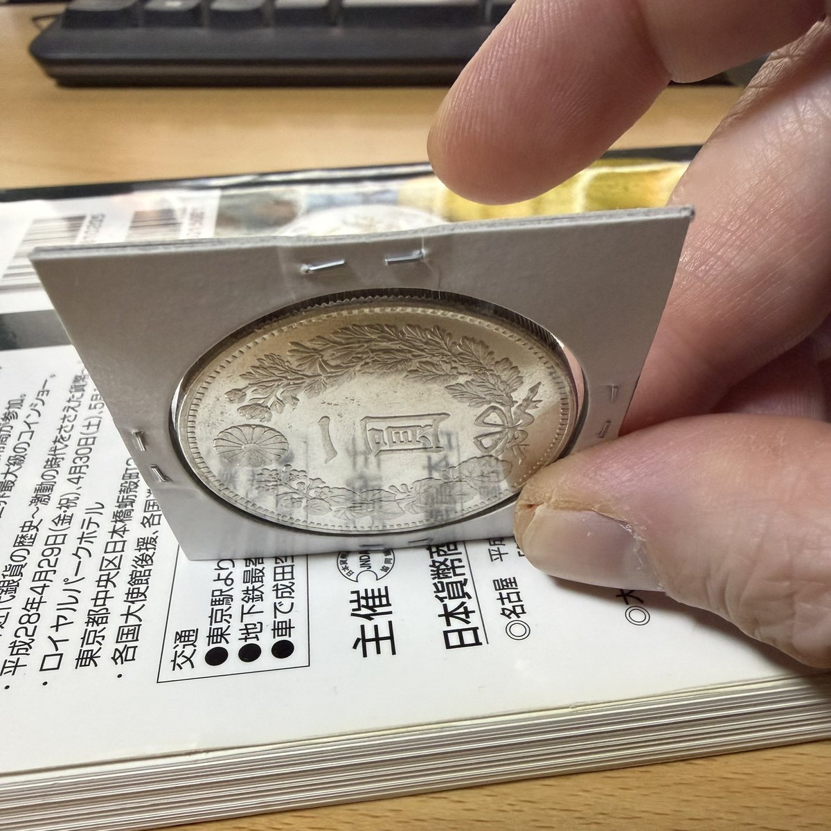 さとぴ〜 (@tumb789) / Posts / X