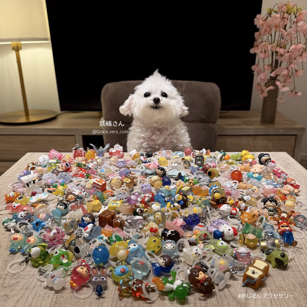 しろい妖精さん tweet media