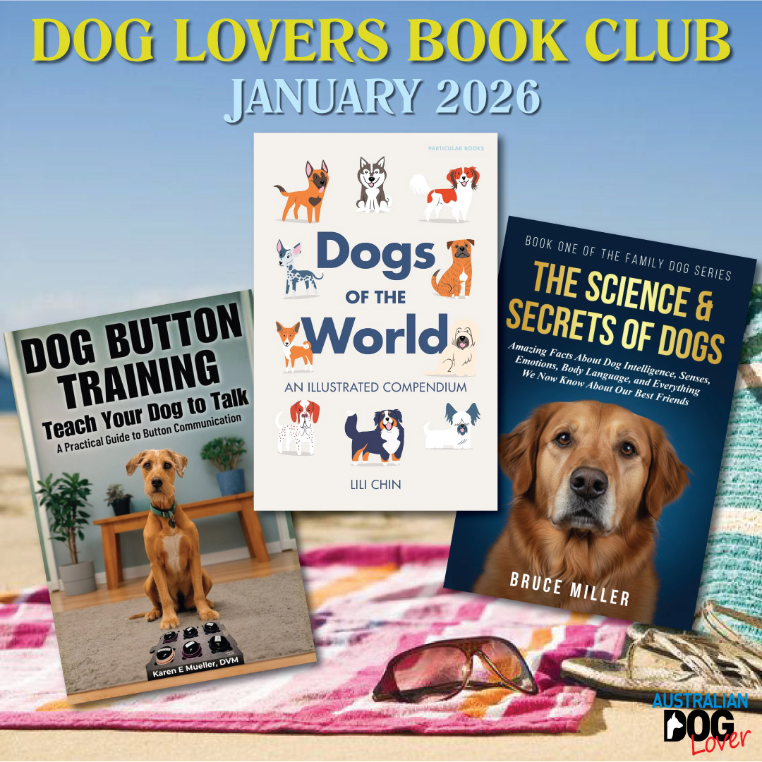 OzDogLover's tweet image. 📚 Did you miss our Jan 2026 Book Club? 🐾
Winding down this long weekend? 🛋️ Grab your best mate and a cosy spot—we’ve curated the ultimate summer reading list for dog lovers. ✨🐕
Catch up on the full selection here:🔗 australiandoglover.com/2026/01/dog-lo…
#AussieDogs #SundayReset #DogLovers