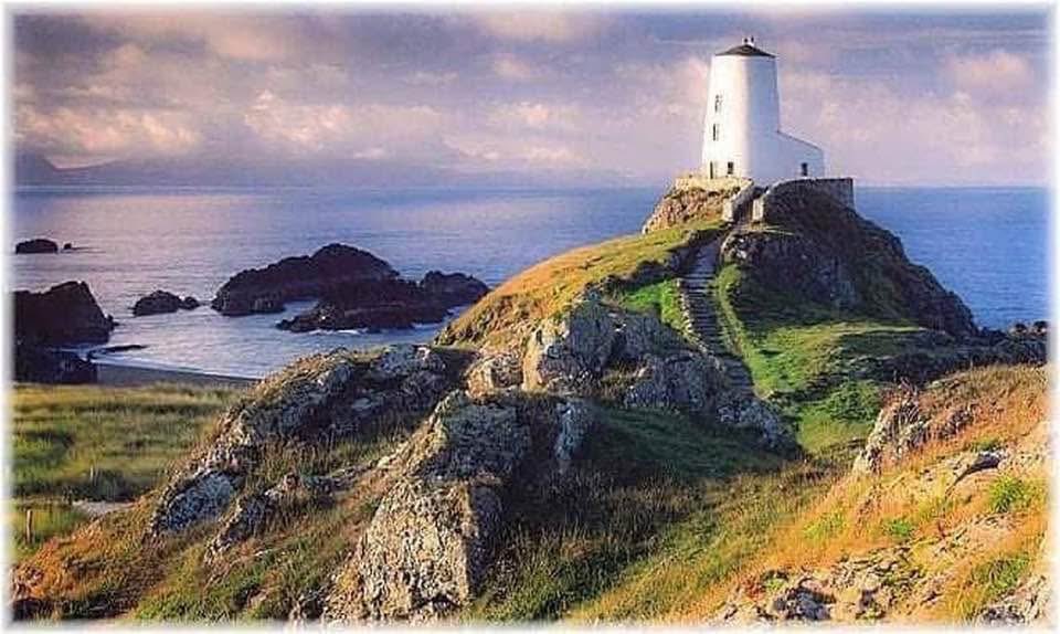 lluniaurich's tweet image. Dydd Santes Dwynwen 🏴󠁧󠁢󠁷󠁬󠁳󠁿