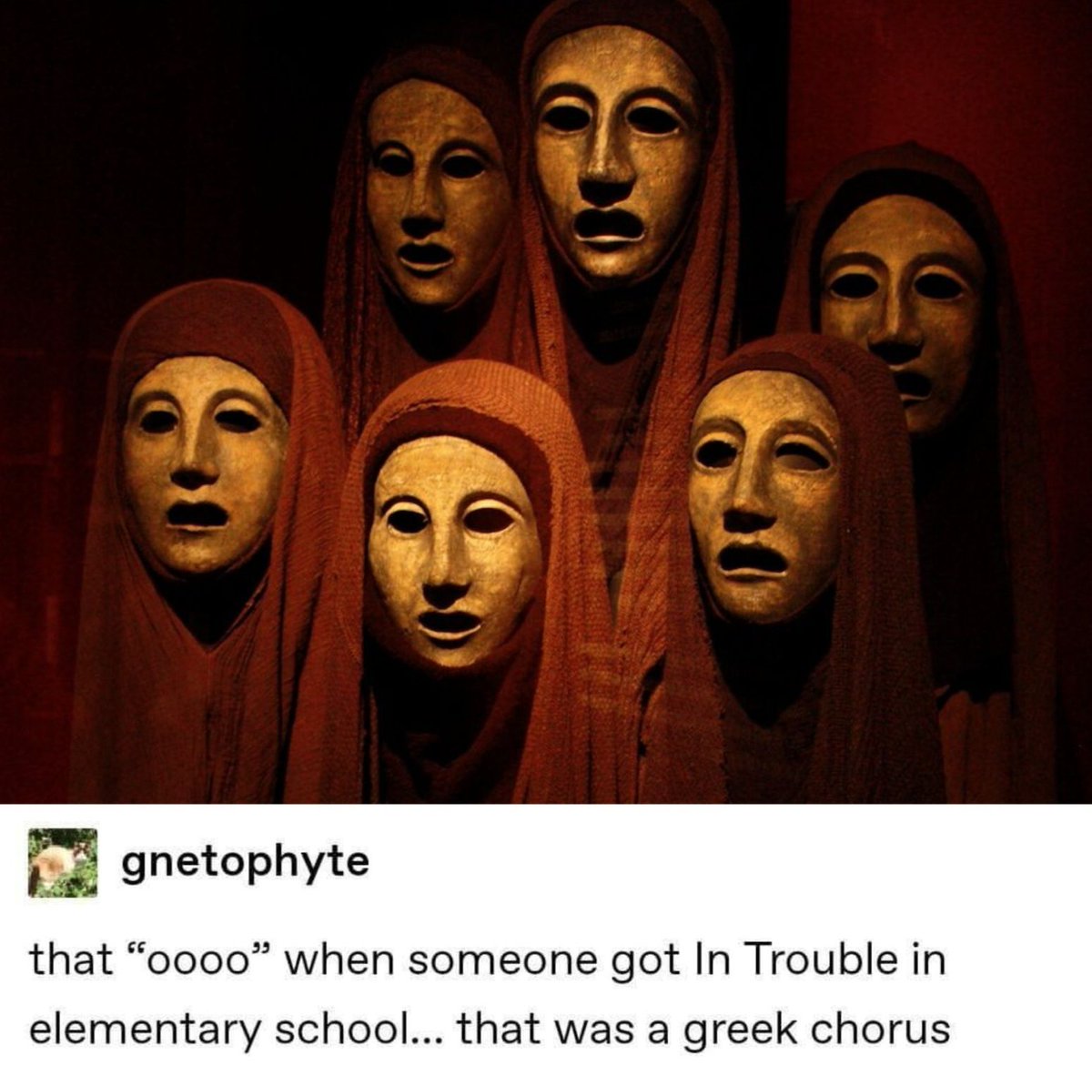 Classical Studies Memes (@csmfht) on Twitter photo 