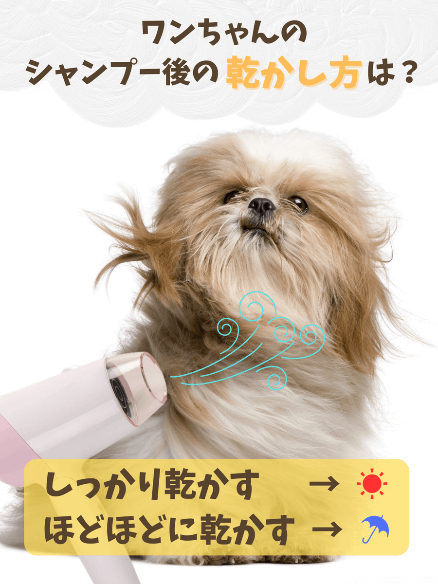 ペット保険のアイペット (@IPET__INS) / Posts / X