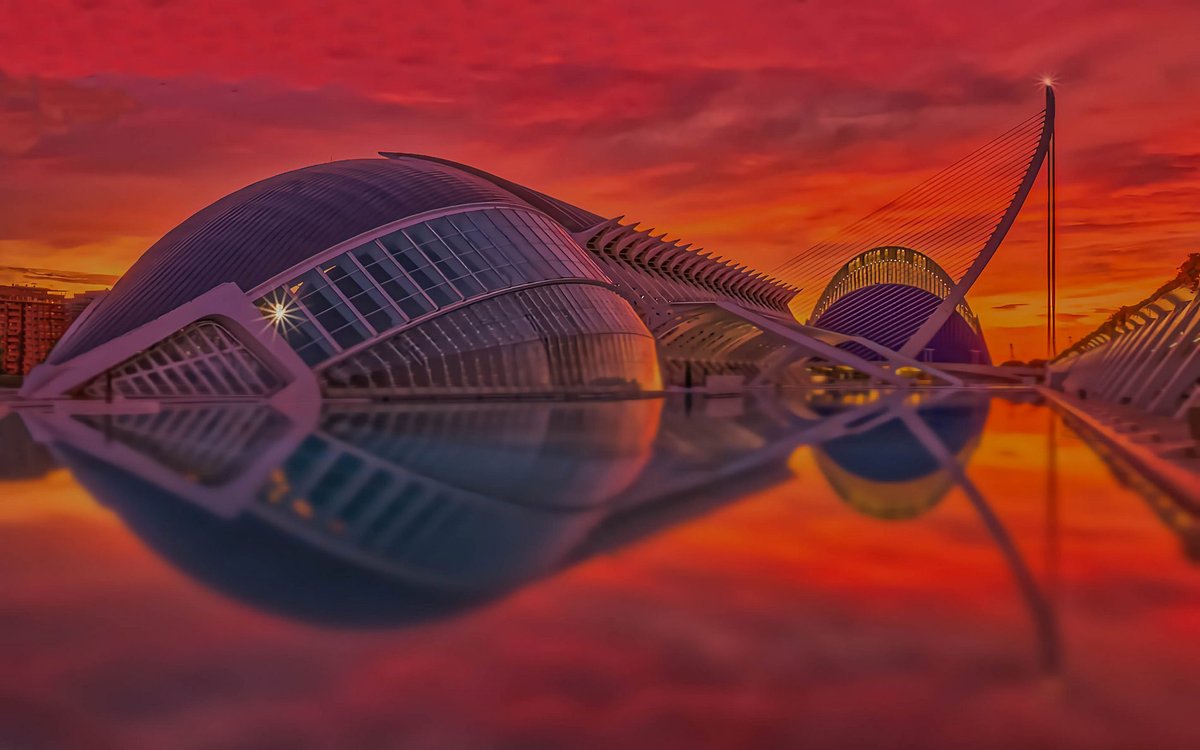 Álex Muñoz 💯 🧡 tweet media