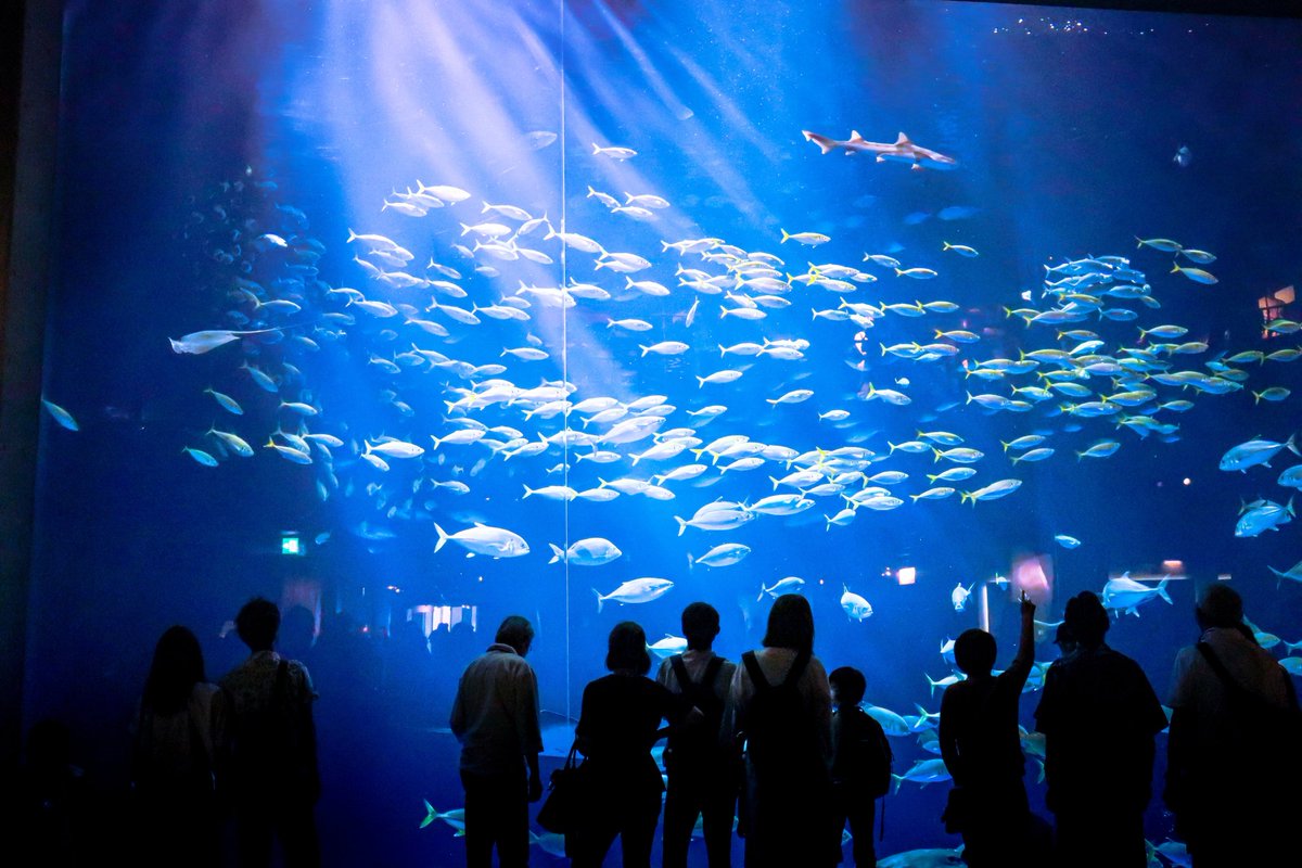 眠れない夜はこんな青に溺れたい。