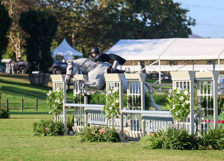 The ultimate partner for a child or amateur ready to shine in the hunter ring! Division hunter with consistent results (Standing 8th in competitive Zone 10 with only 5 months of showing in the adult amateur division) Top Placings in the hack with… dlvr.it/TQYBdS