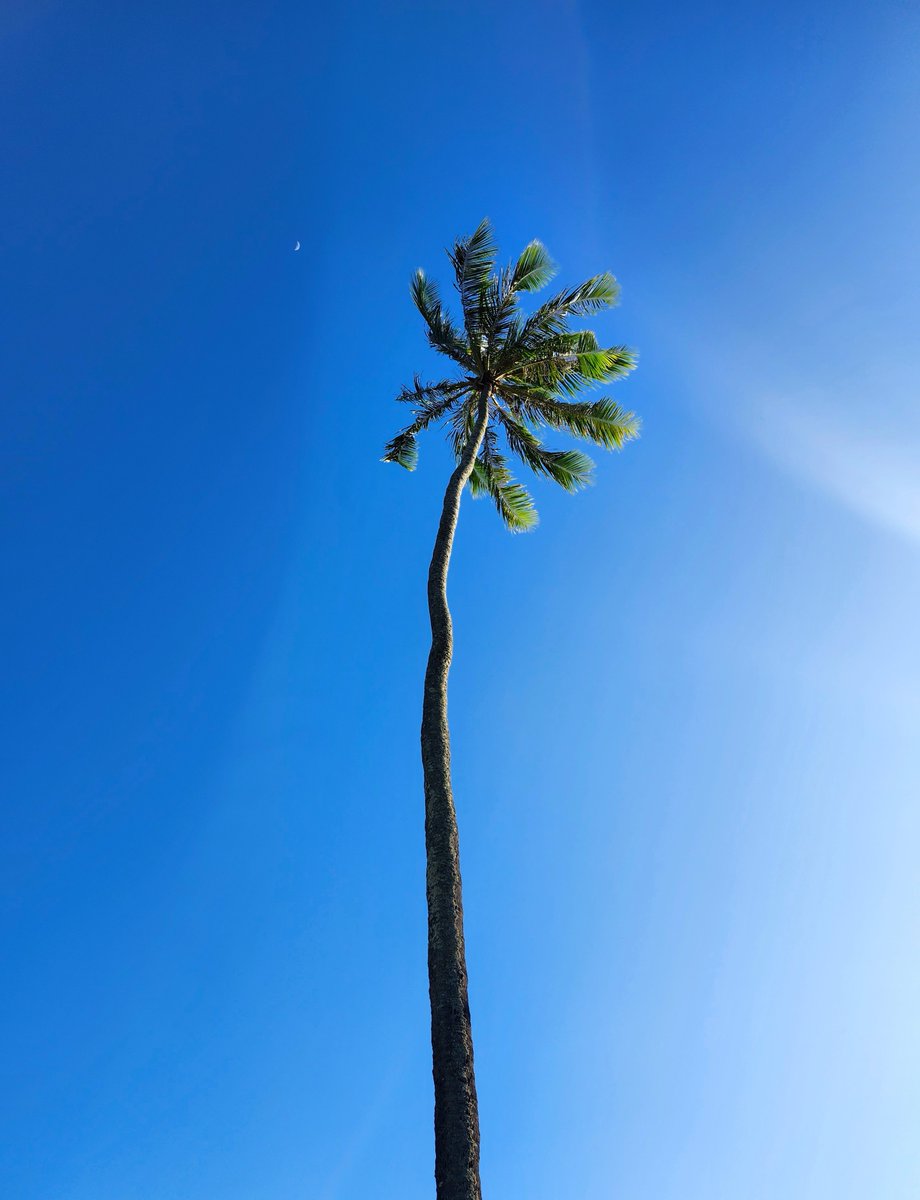 Ned Bertz tweet media