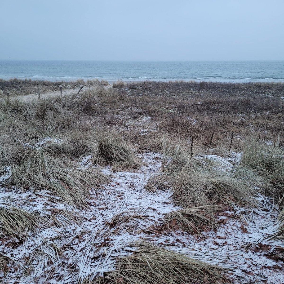 Holger H. tweet media