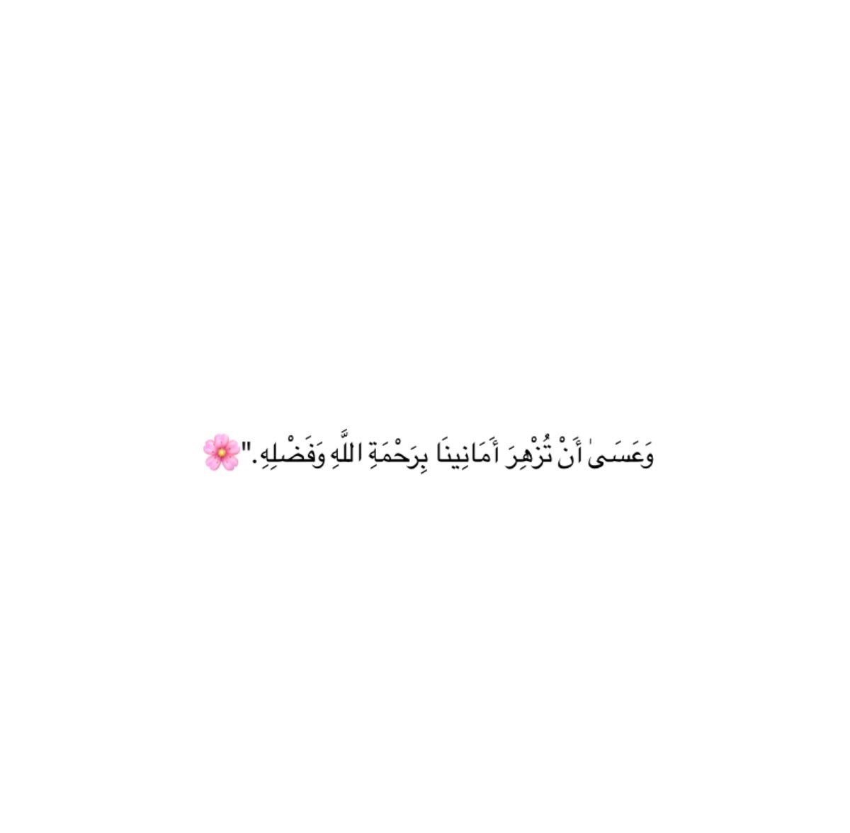 ᷂مُــبهرة | 🎠 tweet media