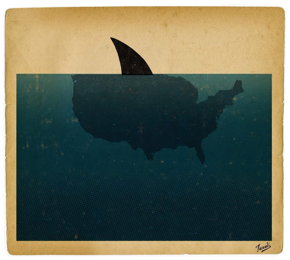 Peter Biro tweet media