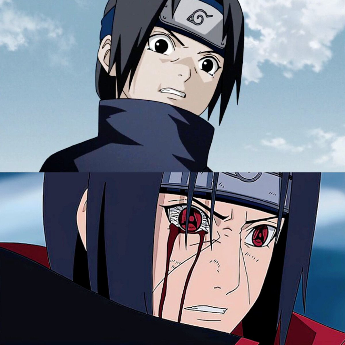 شاه シャ tweet media