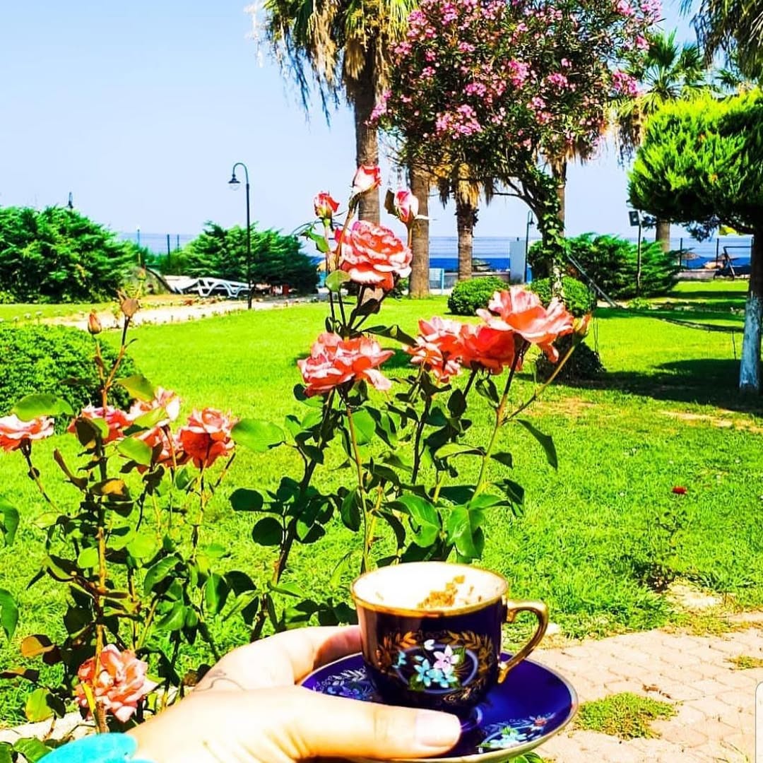 SGK'nın Aydın Kuşadası'ndaki eski Emekli Sandığı’na ait tatil kampı, Cumhurbaşkanı kararıyla 1 milyar 648 milyon TL'ye satıldı.  

Memur ve emeklileri yılda bir hafta da olsa denize sıfır olan 45 bin metrekarelik bu kampta ucuza tatil yapabiliyordu.

(Sözcü - Erdoğan Süzer)