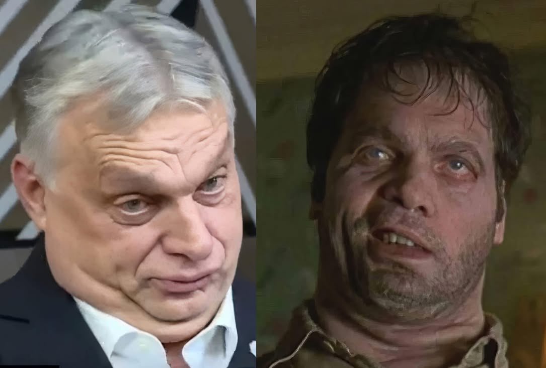 KapitanLisowski's tweet photo. Tu nie ukrywam że podobieństwo mnie urzekło … https://t.co/l8D6EgJShl