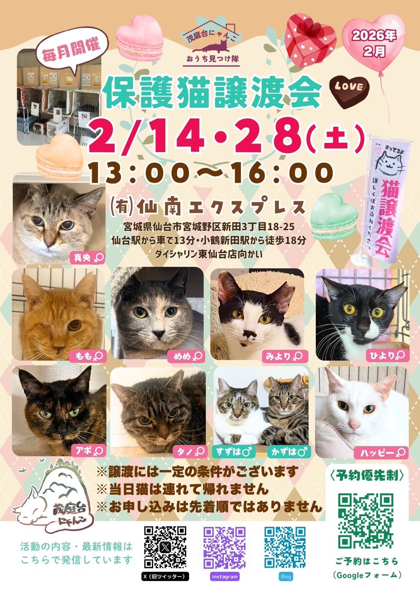 💝2026年2月🍫
茂庭台にゃんこ主催・保護猫譲渡会

日時：2/14(土)28(土)13:00-16:00
会場：㈲仙南エクスプレス(🅿️あり)

写真以外の個人ボラさんより
参加予定の猫ちゃんもいます❣️

※予約優先制です
docs.google.com/forms/d/e/1FAI…

#宮城 #仙台 #保護猫 #譲渡会 #里親募集中