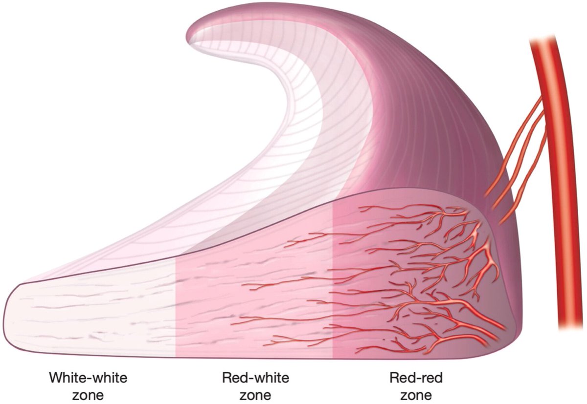 Physio Meets Science tweet media