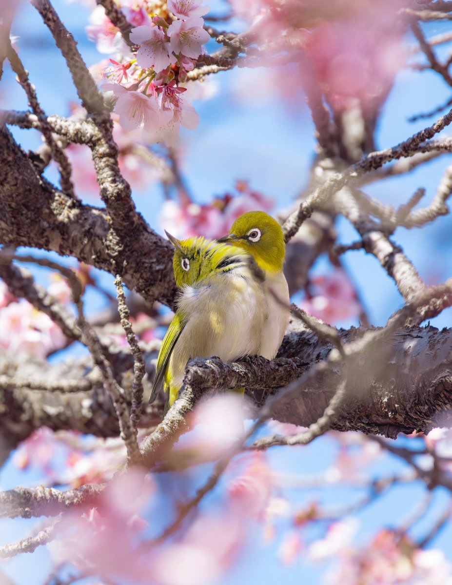 Iori Takano (@_iori_xx21) / Posts / X