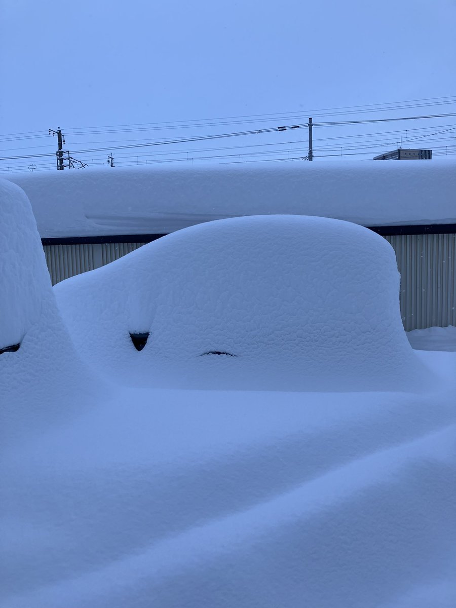 aco_bento's tweet photo. ちょっと見た事ない景色❄️
#札幌 #札幌大雪 https://t.co/wW49nlc2Tu