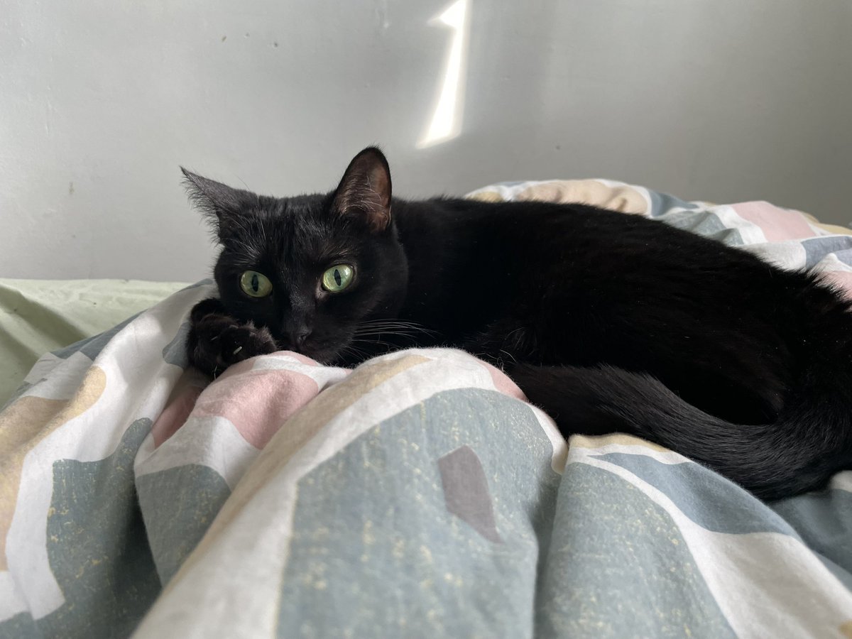 Что же с нами стало