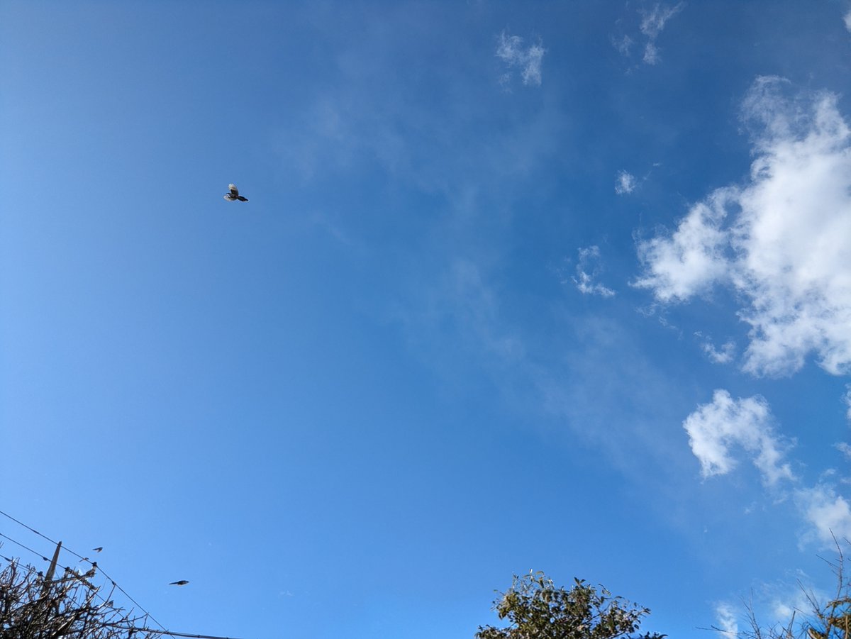 auster180xtt's tweet photo. さむすぎる。ホント無理/・x・i https://t.co/fYzR10mRwe