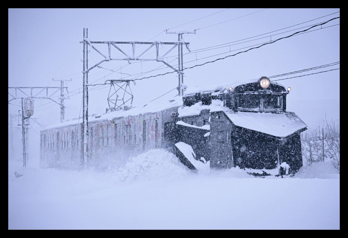 蒼生@青鉄 tweet media