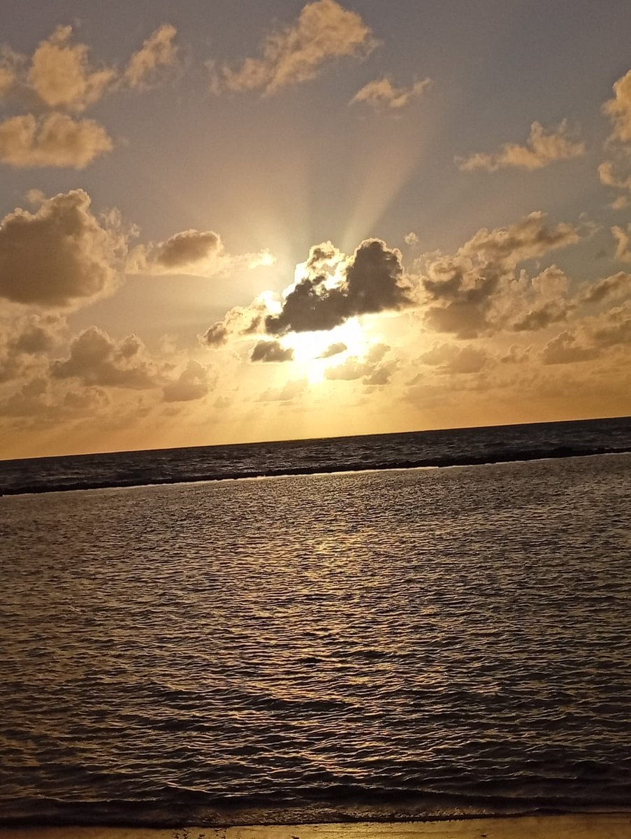 Bom e abençoado dia a todos