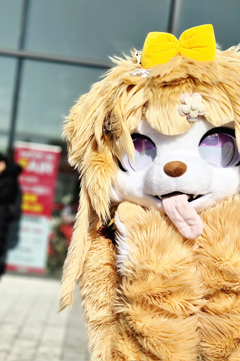 도라미➡️? tweet media