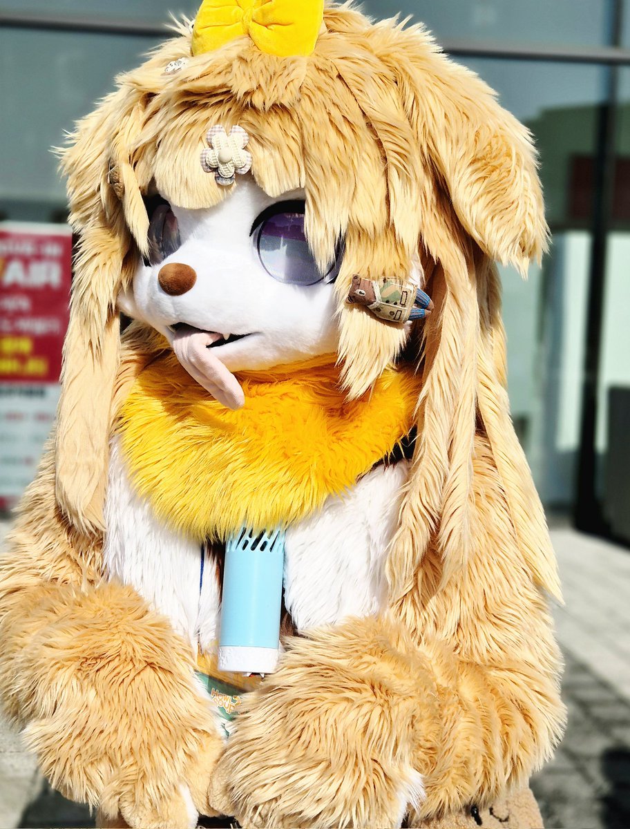 도라미➡️? tweet media