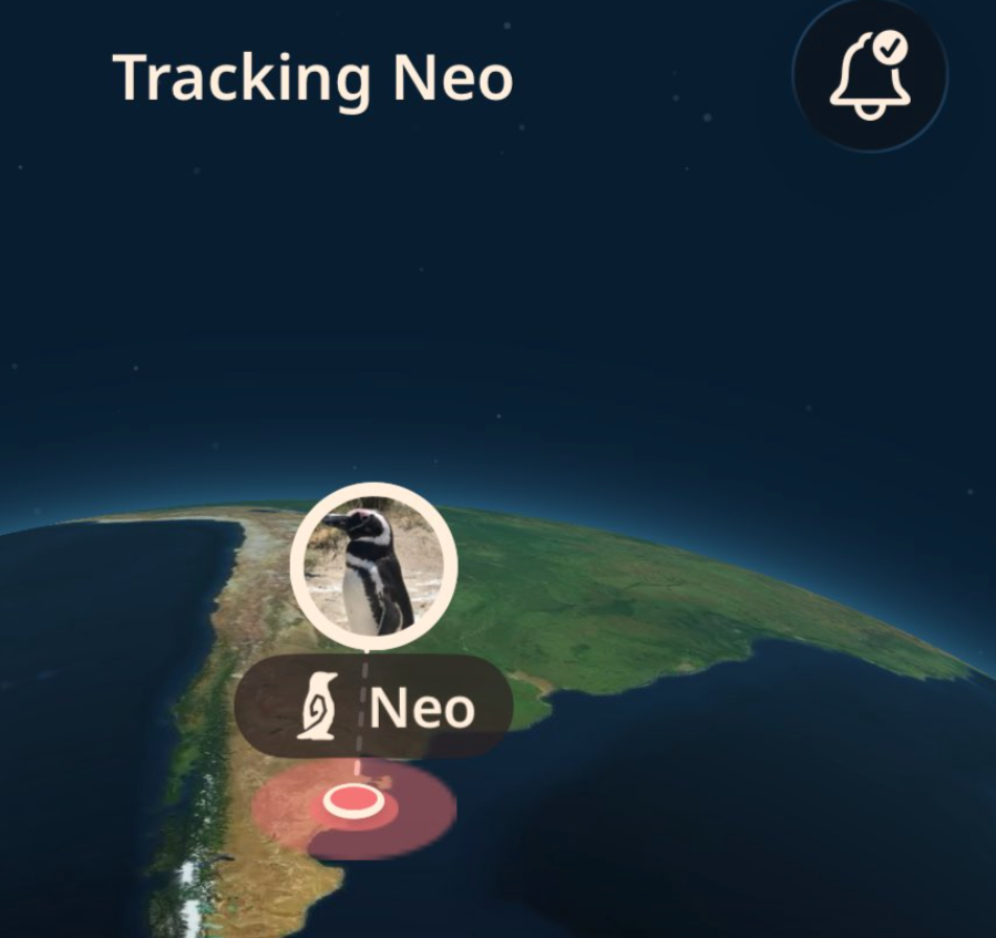 Flowshiller's tweet photo. So there is an app where u can track penguin from ur phone and it's going viral on X

After this penguin trend people started tracking this penguin named "Neo"

It almost has 1M views less than a day, crazy narra https://t.co/Ht92DaOEO0