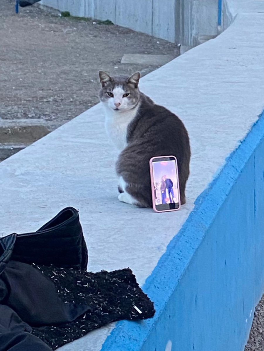 Free camera stand 🤣🧡

Reddit 📸 : Few_Bandicoot2302