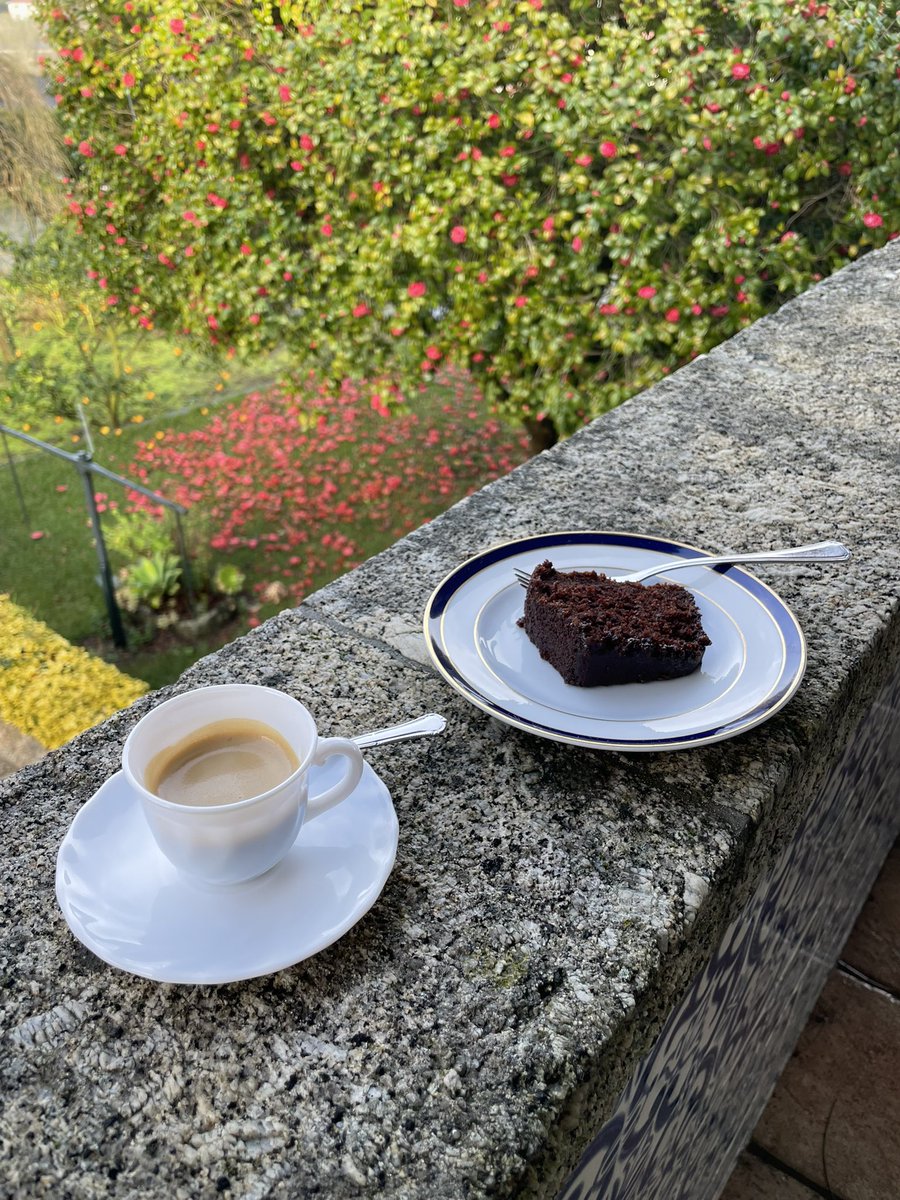 MiguelC40130919's tweet photo. 🎶 Waiting for the morning sun🎶
Vim pelo sol fiquei pela companhia.
Bom dia de Domingo a todos ⭕️ ☕️🐶
#sundaycake
#ladythecavalier https://t.co/60PO0Sts0k