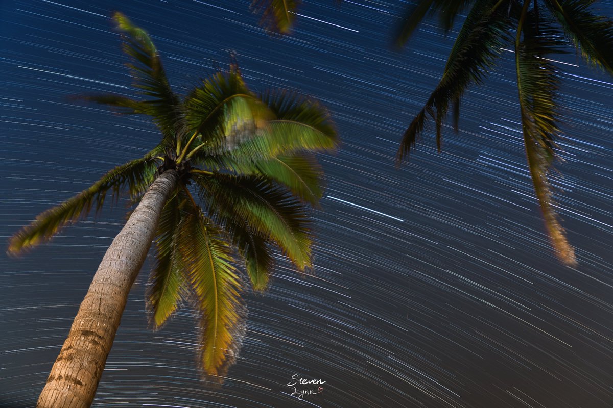 Steven Lynn tweet media