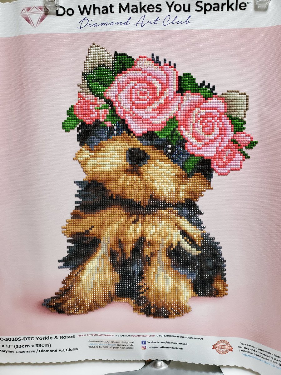 木瓜✤ tweet media