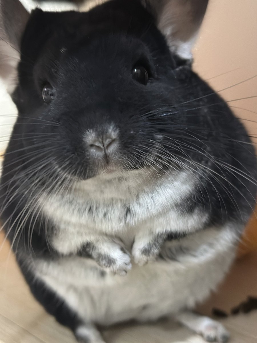 怎麼拍都好看🥰