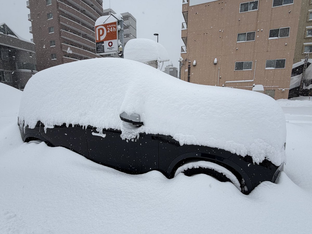 札幌は災害レベルの大雪❄️❄️❄️
市民のみなさま、お疲れさまです。

車も一晩で埋もれました。
明日は幼稚園バスの運行も心配です…

#札幌 #大雪
