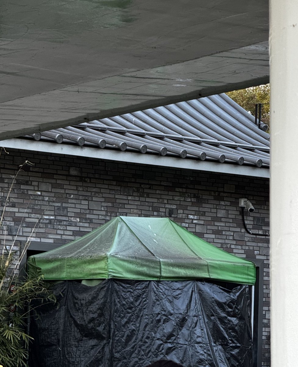 yo_tan's tweet image. シャオシャオ、レイレイどうもありがとう!!
2人がずっと元気で幸せに暮らせますように💚🐼🐼🧡

#上野動物園