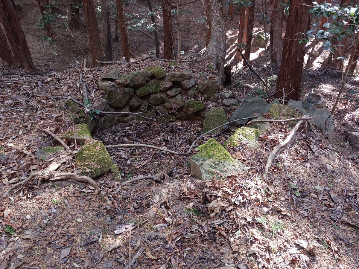_enkohearts_'s tweet photo. 南条山城跡に在った炭焼窯⛰️

煙出す穴も空いてる🔥

以前行った時は気付いて無かったんかなぁ？

#姫路市 https://t.co/ZKPCelnECL