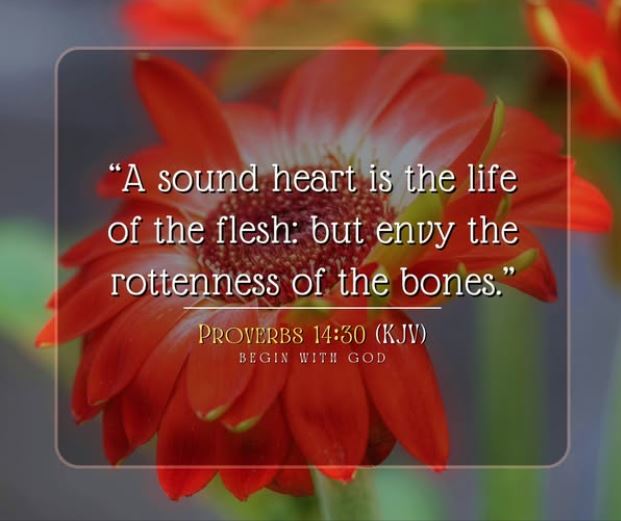 Michael65413248's tweet photo. References:
https://t.co/Pz8lku5cJk
Why I prayed & not healed?
Check:
Heart Condition
#Proverbs14:30
Returned evil for good?
#Proverbs17:13
#Repentance of Sin?
https://t.co/hWKrc3eCwd
#Matthew4:12-23
https://t.co/9tEOupefuD
Saints' Commentaries
https://t.co/xFB4dD9DJt
Start⬇️ https://t.co/8fcbalVxf6