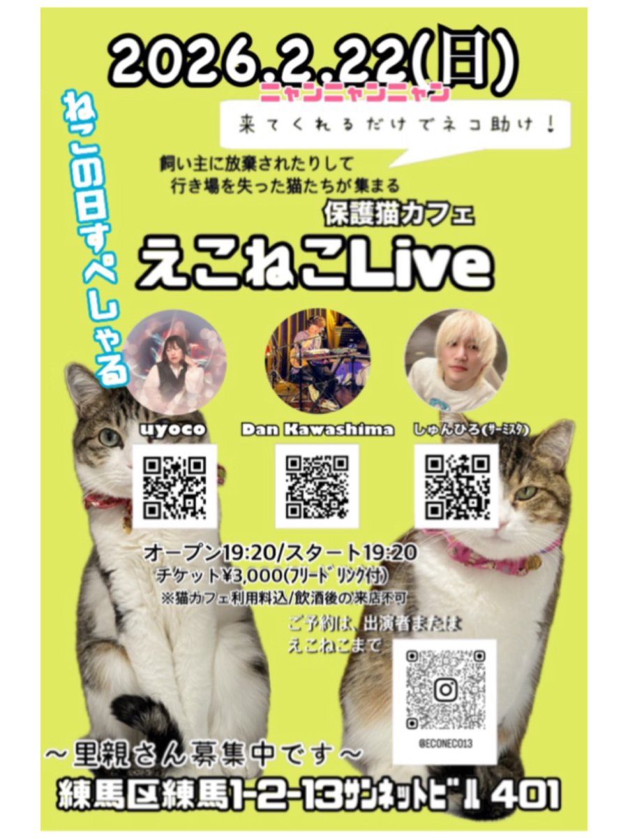 2月22日(日)ねこの日🐱🐱✨️ よろしゅーお願いします