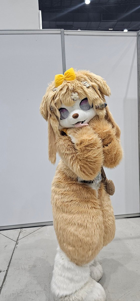 설랑월 tweet media