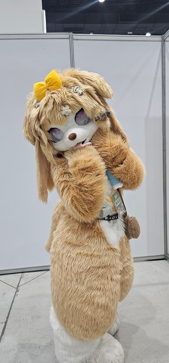 설랑월 tweet media