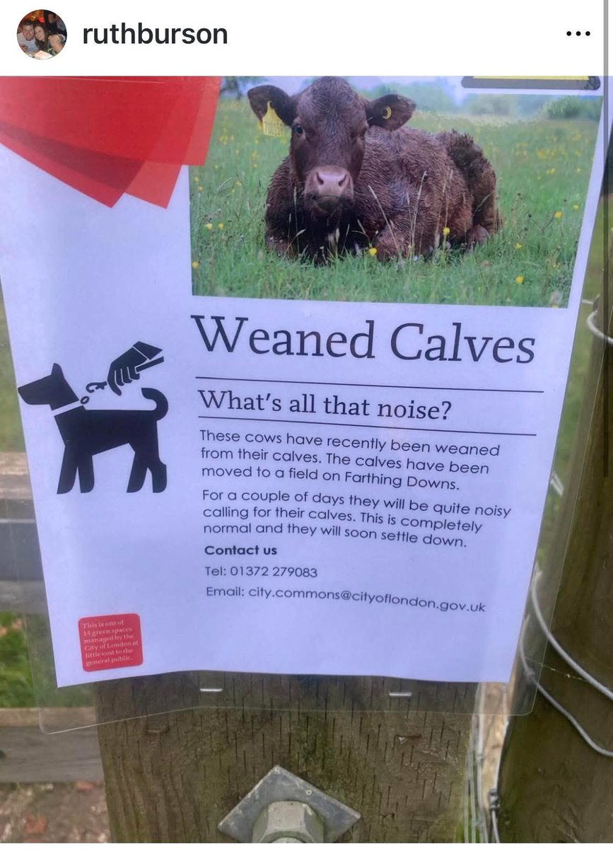 Claire Bass tweet media