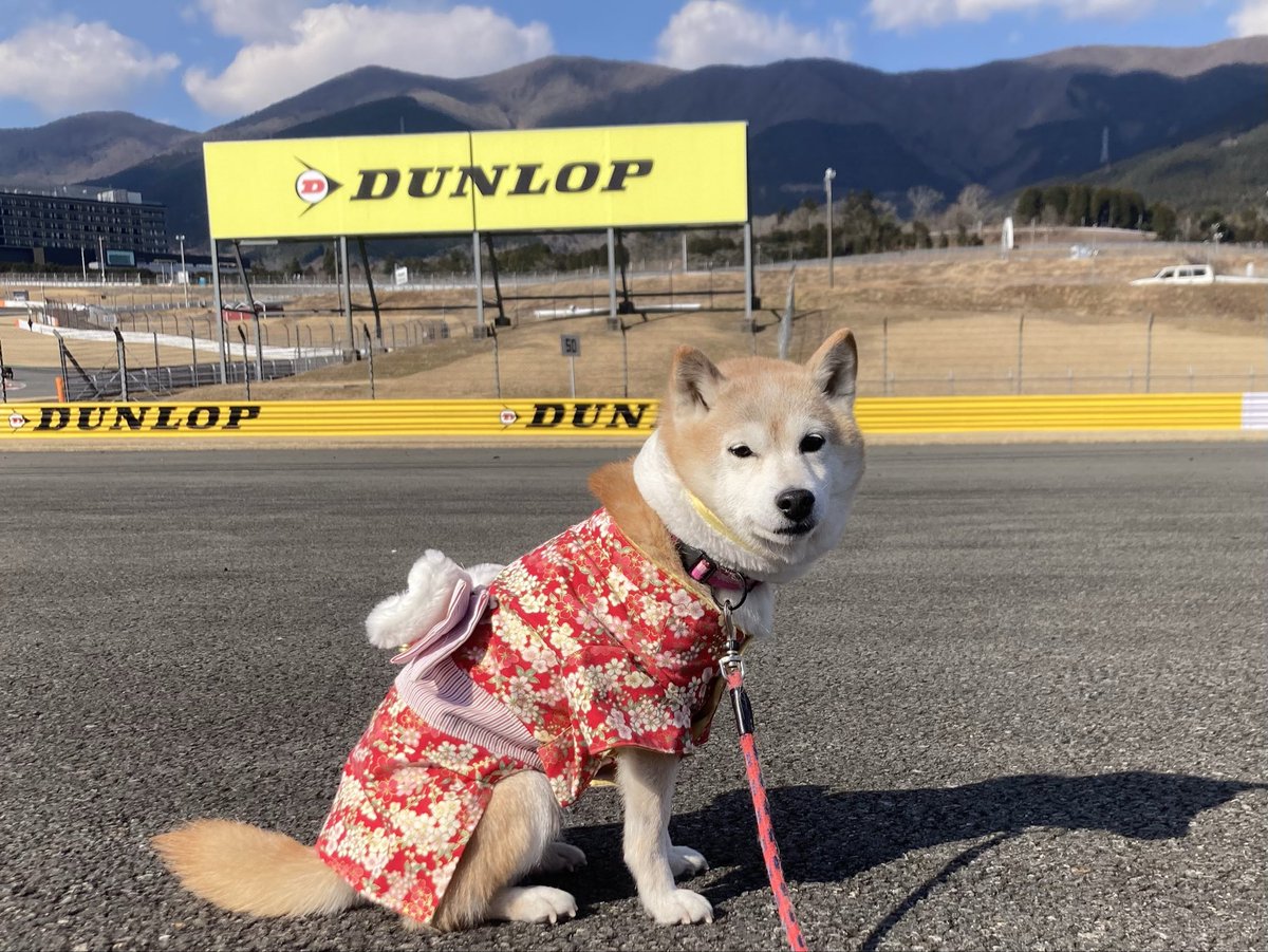 たかぴぃ T/M/Ws (@takao0032) / Posts / X