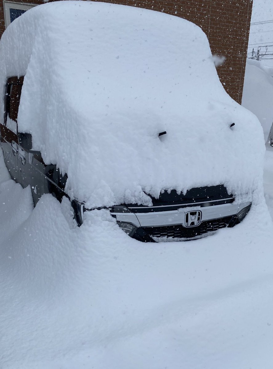 sirohebi_com's tweet photo. 一月で本気出すのやめれ⛄️ https://t.co/H1Ti72Gs1G