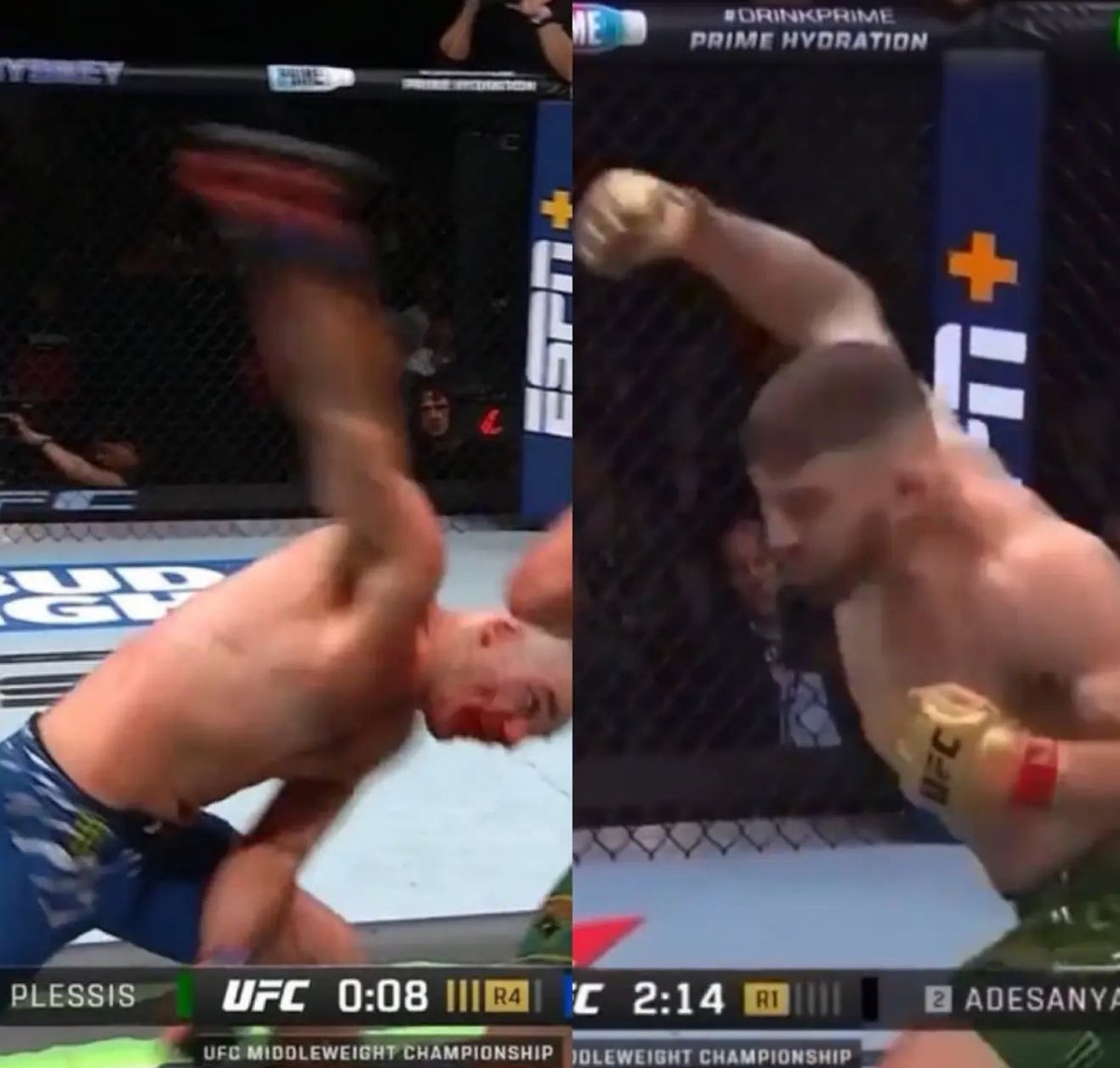 ACD MMA tweet media